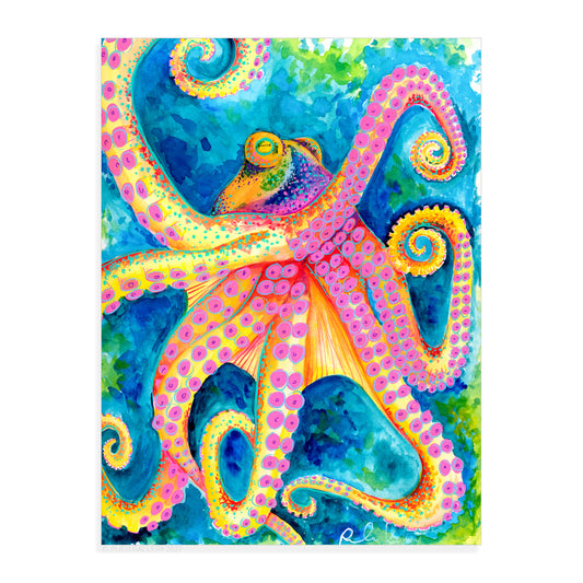 Octopus