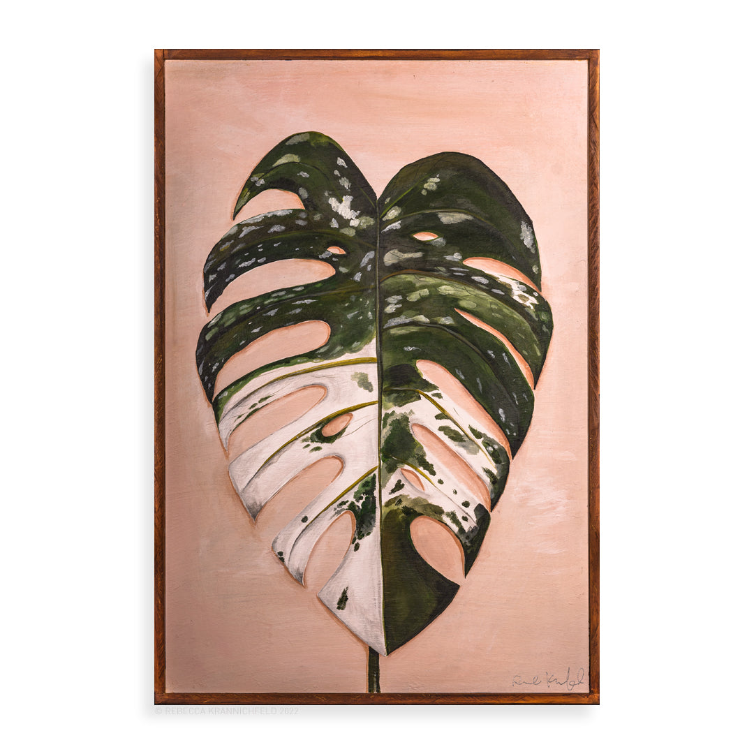 Monstera